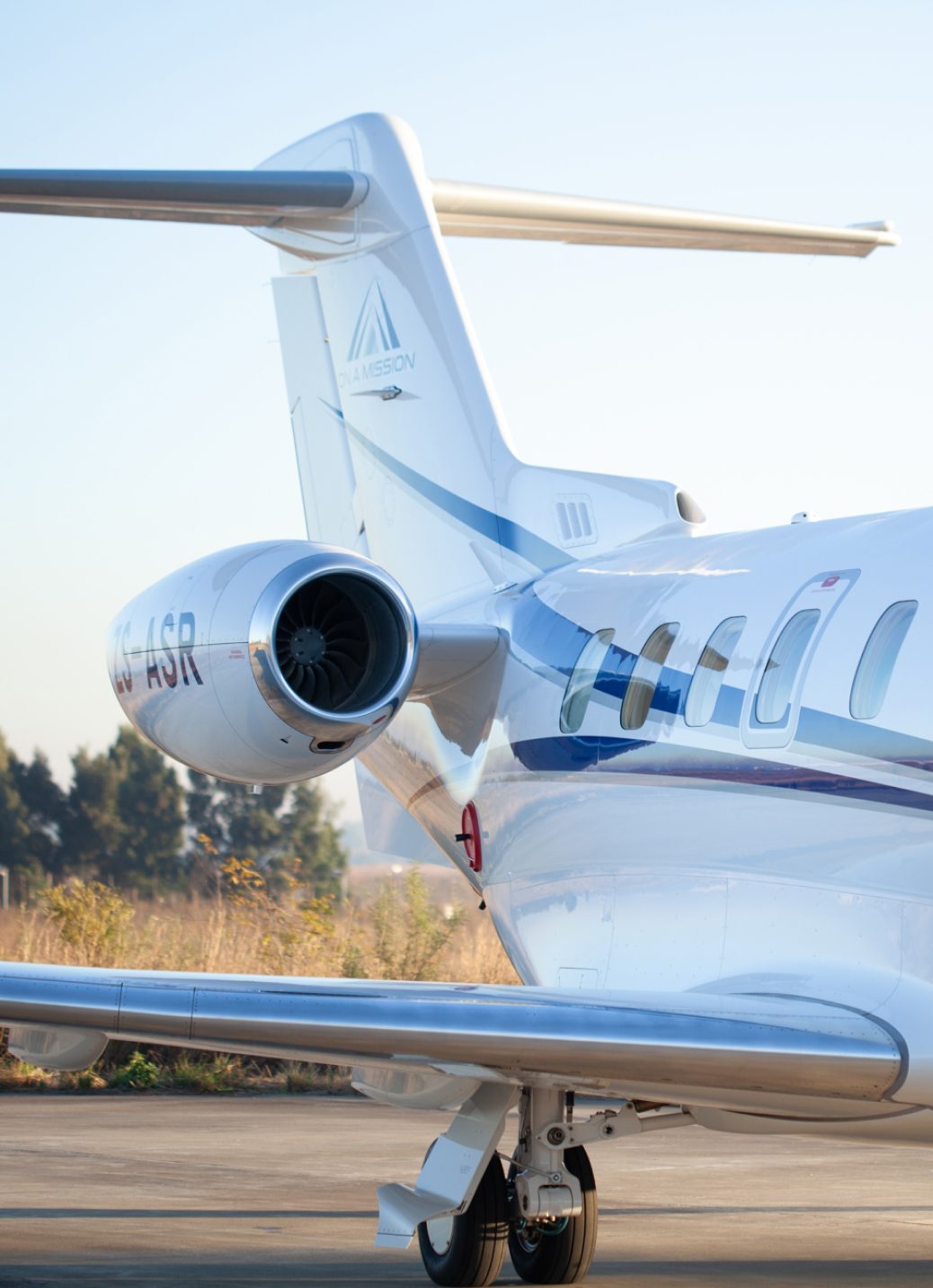 Tail and engine of a managed business jet